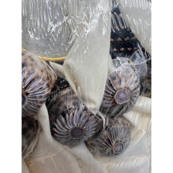 24 Pc Capiz Coasters Rattan Placemats Cowrie Shell Napkin Rings Lace Napkins Set - Picture 8 of 10